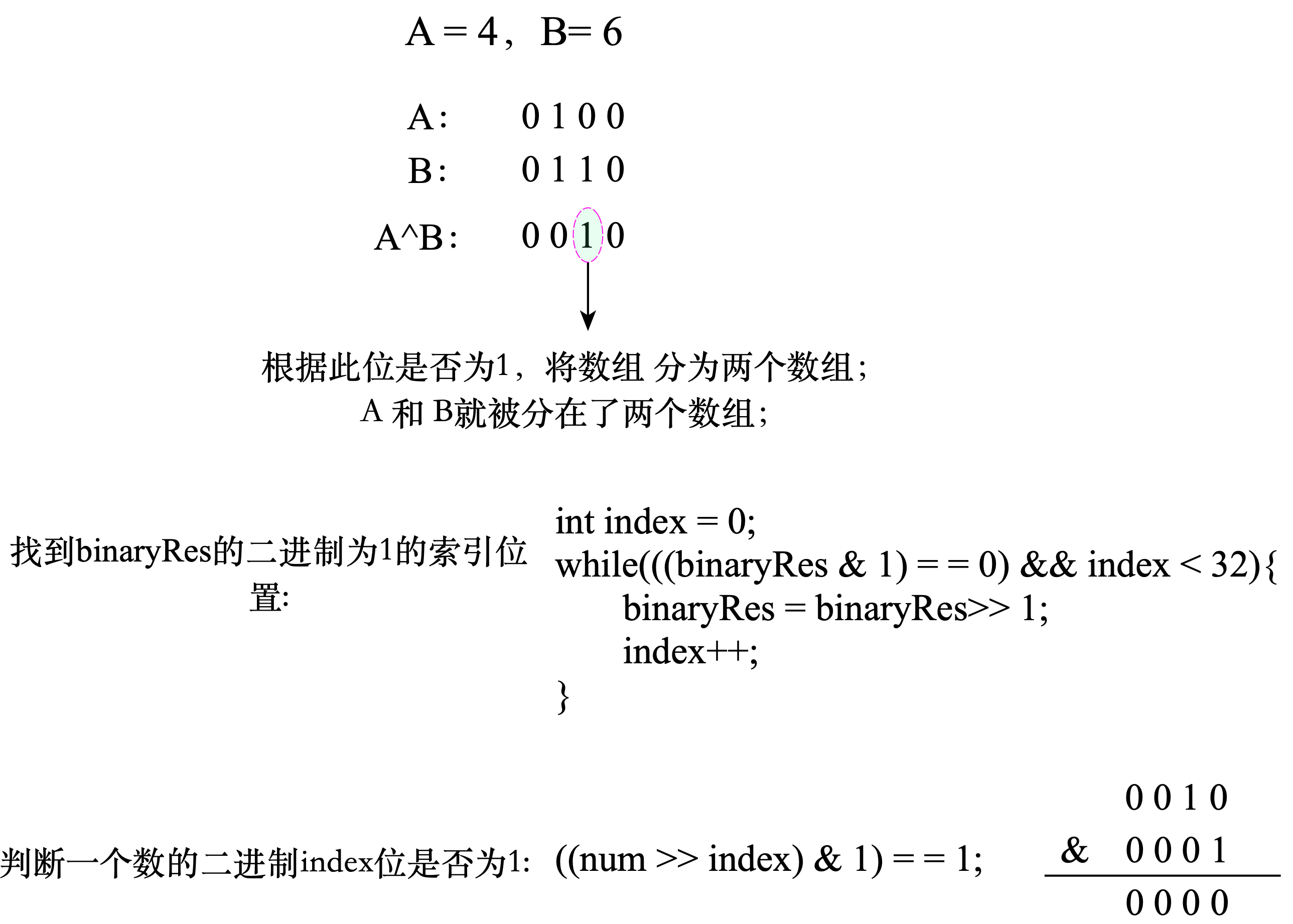 找到数组中两个不同的数